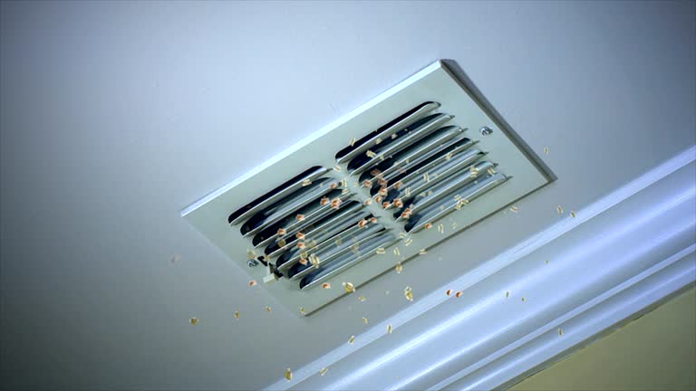Best Professional Duct Cleaning Services  in Bloomfield Hills, MI